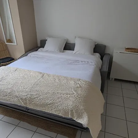 Appartement Knp Voltaire Tours